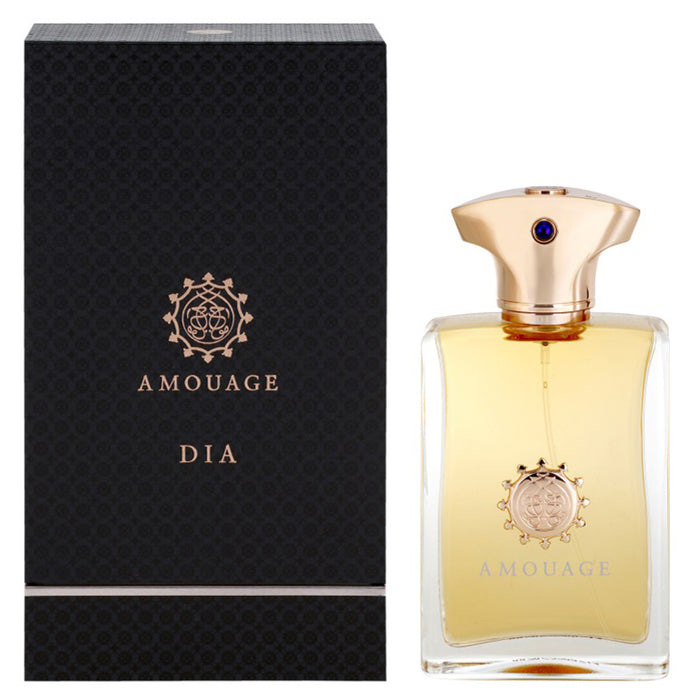 Dia by Amouage 100ml EDP for Men