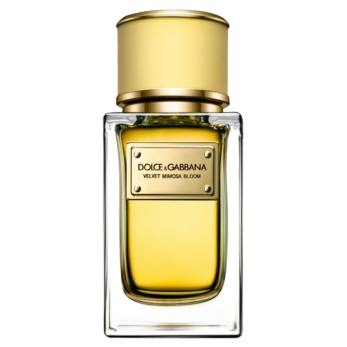Velvet Mimosa Bloom by Dolce & Gabbana 50ml EDP