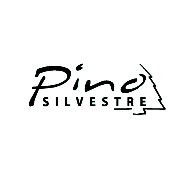 Pino Silvestre