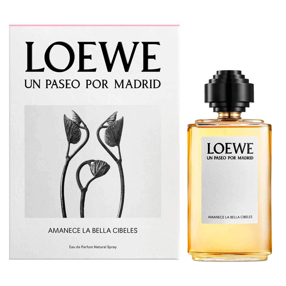 Amanece La Bella Cibeles by Loewe 100ml EDP — Perfume NZ